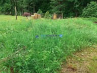 282319252_1088495425068100_8076163755076773135_n