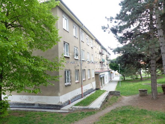 p1020589.jpg