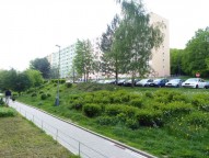 p1020684.jpg