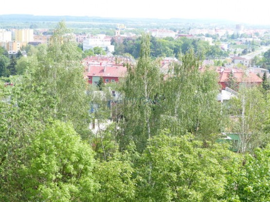 p1020697.jpg