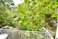 dsc-0452.jpg
