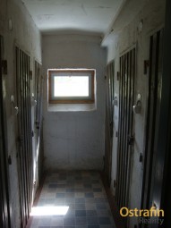 dsc04697.jpg