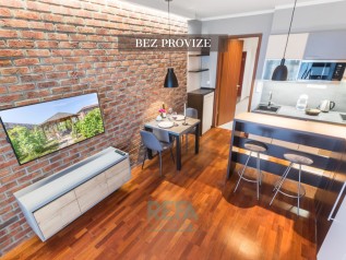 1-kk-byt-bez-provize-albertov.png