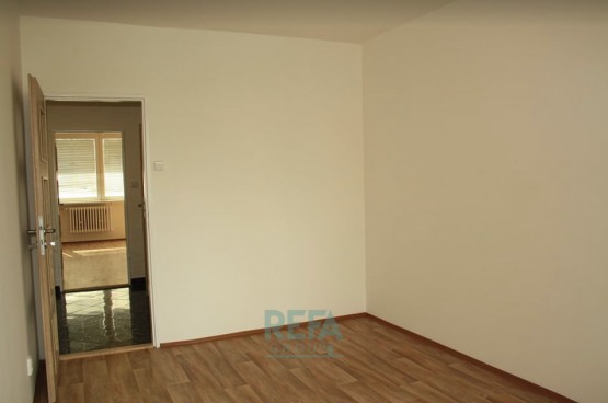 Byt 3 plus 1, Čimice4