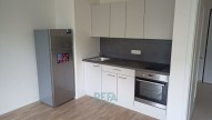 Byt k pronájmu, Wassermanova, kuchyň