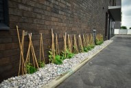 Byt k pronájmu, Wassermanova, dům