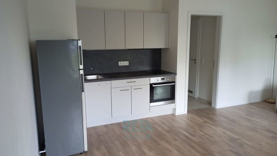 Byt k pronájmu, Wassermanova, kuchyň
