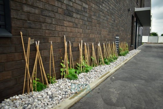 Byt k pronájmu, Wassermanova, dům