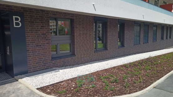 Byt k pronájmu, Wassermanova, dům