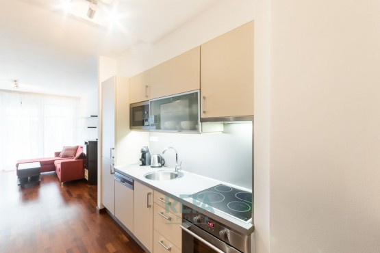 f-104-2018-pronajem-apartmany-praha-albertov-rental-apartments-09-1.jpg
