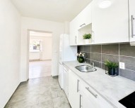 Detail: Pronájem RD 7+1, 300 m2