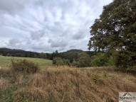 Detail: Pozemek 12357 m2