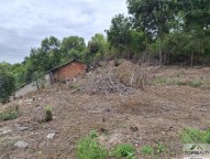 Detail: Nemovitost 729 m2