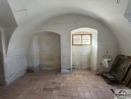 IMG_2071.jpg
