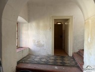 IMG_2066.jpg