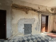 IMG_2165.jpg