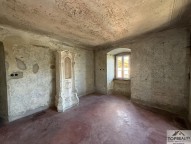 IMG_2163.jpg