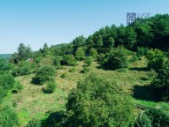 DJI_0016