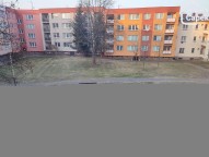 IMG_20250211_080857.jpg