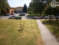 IMG_20200516_105624.jpg
