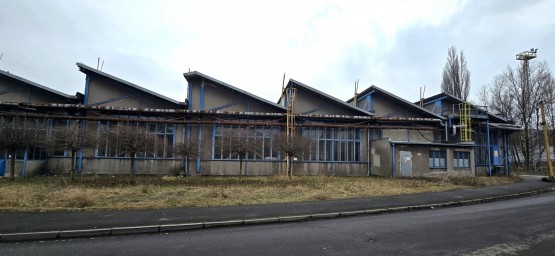 inz1