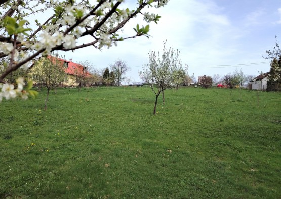 Pozemek 13