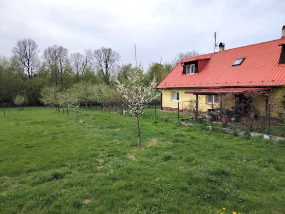 Pozemek 5