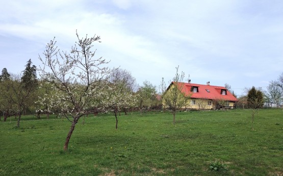 Pozemek 11