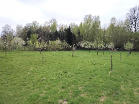 Pozemek 7