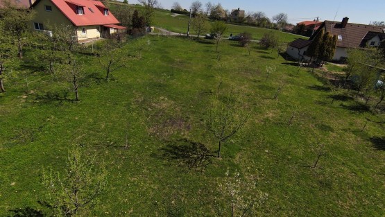 Dron 1