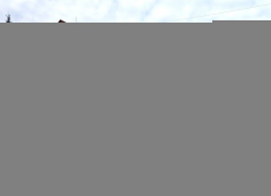 IMG_20250411_131338 (1)