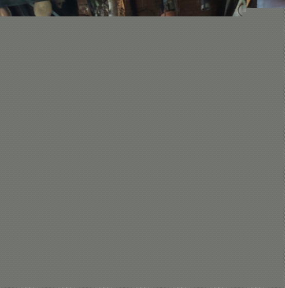 IMG_20250411_130425 (1)