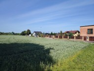 IMG_20250618_101824