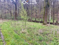 img-5006.jpg