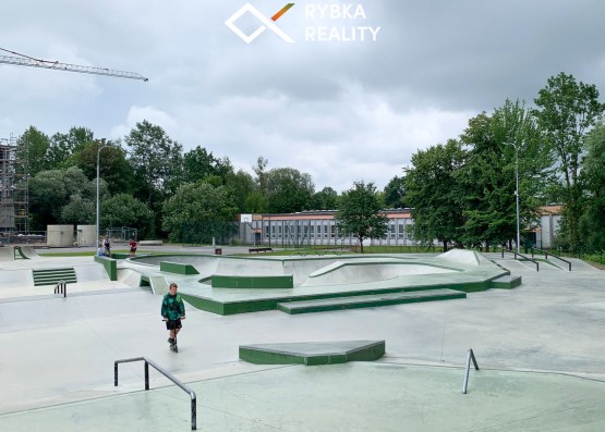 skatepark-2.jpeg
