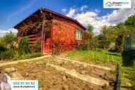 _MG_6119c