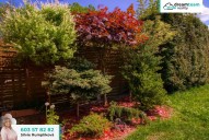 _MG_6173c