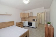 Pronájem, byt 1+kk, Plzeň