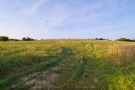 Pozemek, Zruč - Senec