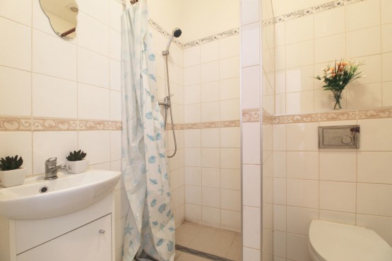 Prodej byt 1+kk , Plzeň, koupelna