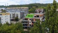 dji-0036-hdr.jpg