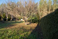 img-2195.jpg