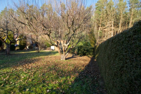 img-2195.jpg