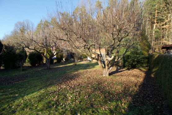 img-2196.jpg