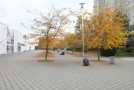 img-3258.jpg