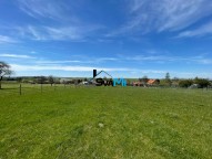 IMG-20210511-WA0007