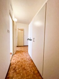 IMG_3271