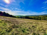 IMG_1026