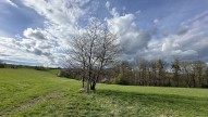 IMG_5568