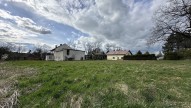 IMG_5559